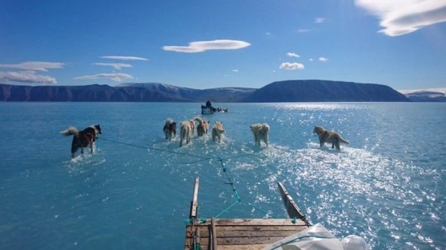 Foto revela alarmante deshielo de glaciares en Groenlandia
