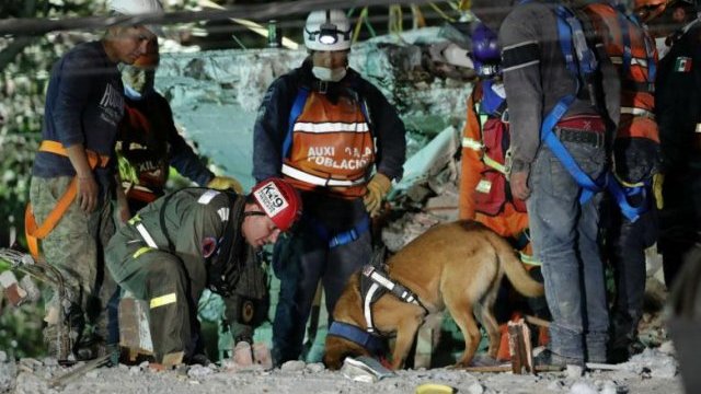 Suman 292 muertes tras terremoto en México; las labores de rescate no paran