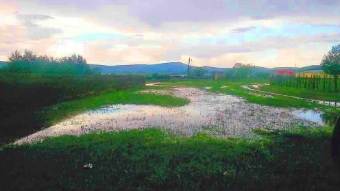 Daños a cultivos totalizan 15 mil hectáreas por lluvias en Chihuahua