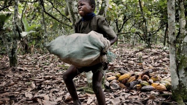 Las 7 marcas de chocolate que usan mano de obra de niños esclavos