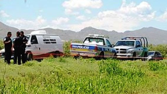Derriban delincuentes avioneta Cessna en Urique