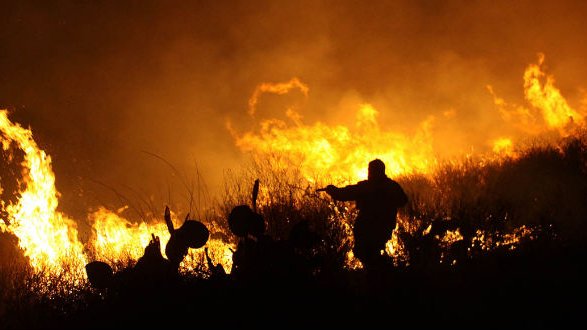 Incendio en Janos ya engulló más de 2 mil hectáreas