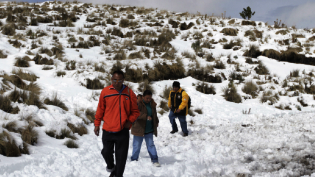 Continúa el pronóstico de nevadas en Chihuahua