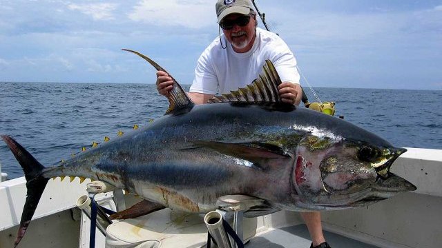 Ganó México litigio con los EEUU por pesca de atún 