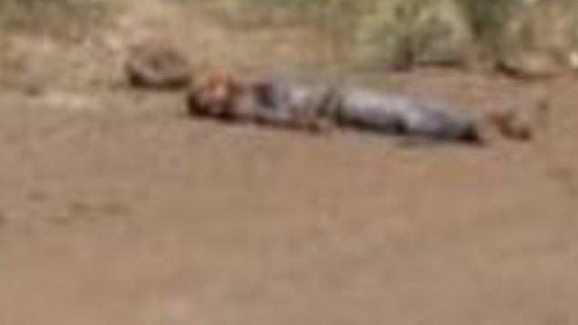 Localizan el cadáver de un hombre asesinado en la Vía Corta a Parral