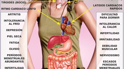 Sobrepeso puede ser causado por la tiroides, alerta IMSS