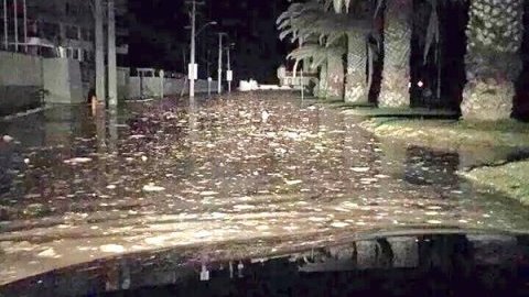  Tsunami en Chile, las primeras olas comenzaron a llegar a la zona Concon