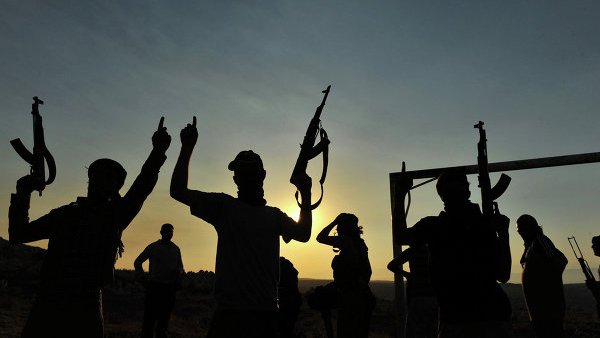 EU pide al jefe del Ejército Libre Sirio continuar la lucha armada