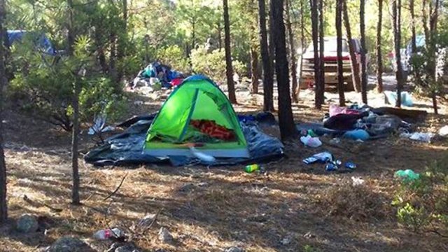 Rescatan a secuestrado de campamento narco en la Sierra de Chihuahua