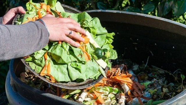 Desperdicio de comida asciende a 750 mil mdd: FAO