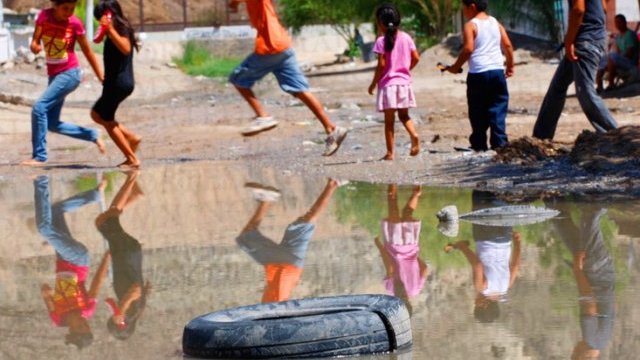 Virus del Nilo: hay en Juárez hasta 20 sospechosos de infección