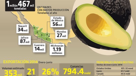 Costa Rica: alarma ante el cese de importación de aguacate mexicano