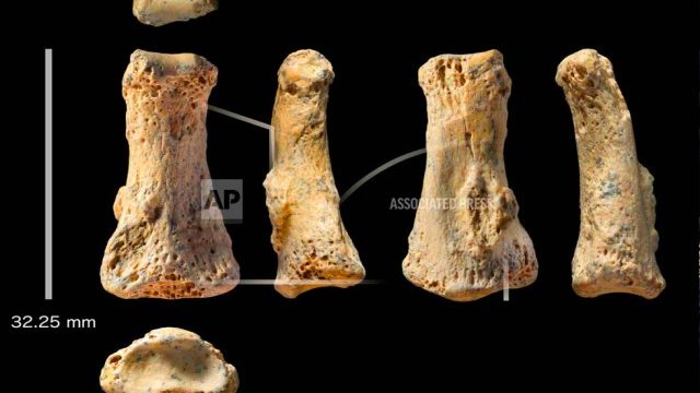 Fósil de un dedo indica cuándo migró el Hombre desde África