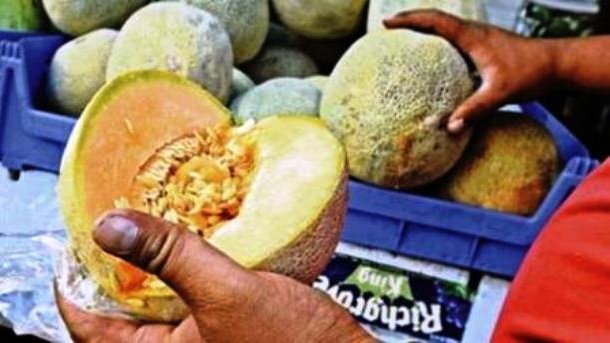Piden se prohiba entrada de melón contaminado de EU