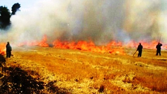 Se descontroló quema agrícola en Meoqui y consumió vegetación