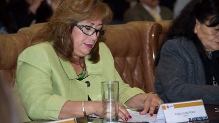 Plan de Acción Climática Municipal, resultado de que el municipio está preocupado por el medio ambiente: Manuela Flores