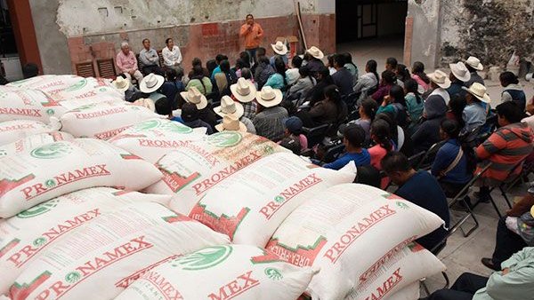 Campesinos de Atlixco reciben 22 toneladas de fertilizante 