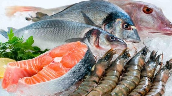 Emite Secretaría de Salud recomendaciones para el consumo de mariscos