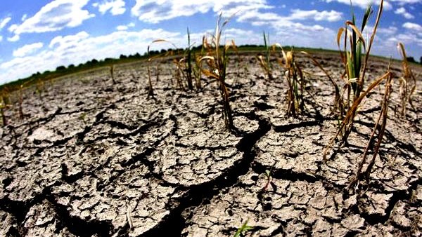 Sequía en el norte: la peor desde 1941