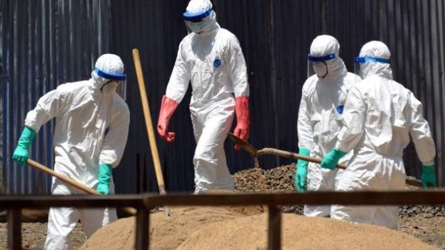 Reporta OMS más de 13,000 casos de ébola y casi 5,000 muertes