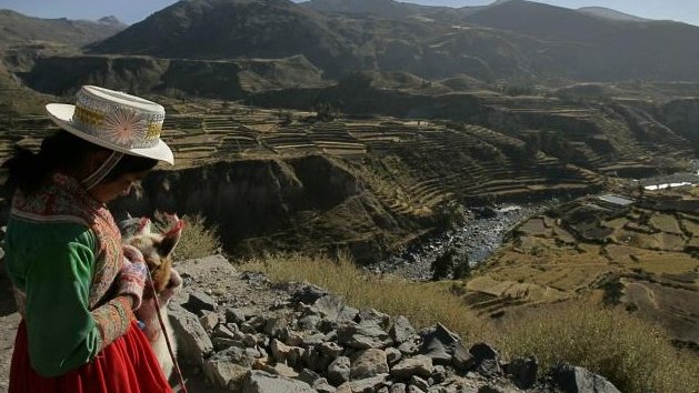Hallan restos del milenario Camino Inca