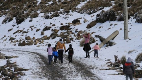 Declaran emergencia para 18 municipios chihuahuenses por nevadas
