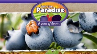 Jalisco, México: Berries Paradise exporta arándano a Japón