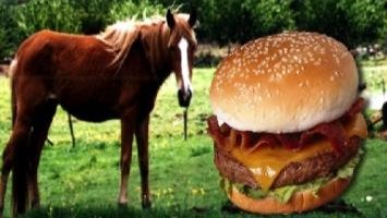 El ADN de caballo en las hamburguesas de vacuno pudo venir de aditivos