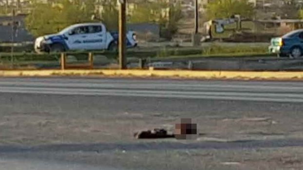 Avientan una cabeza humana en la carretera Juárez a El Porvenir