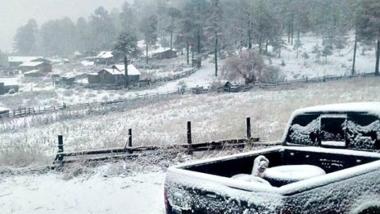 Cayó ligera nevada en El Vergel, Balleza; habrá más en el estado