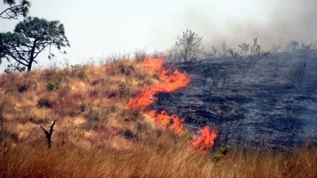 Incendio consume 5 mil hectáreas en la Sierra Tarahumara