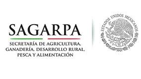 Abre INCA Rural ventanillas para Proyectos Integrales de Innovación y Extensión