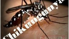 Descartan autoridades de salud estatal activar emergencia por el virus Chikungunya