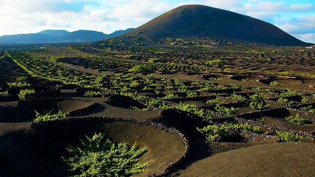 Canarias: materia volcánica para el cultivo en tierras áridas