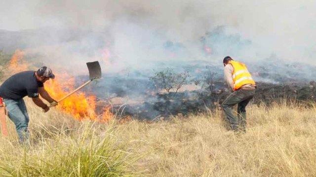 Estallaron 5 incendios forestales en una semana en Chihuahua