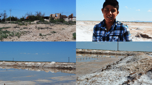 Estación Carrillo: La sal que brota del desierto