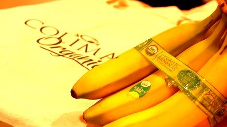 México inicia la producción de banana ecológica