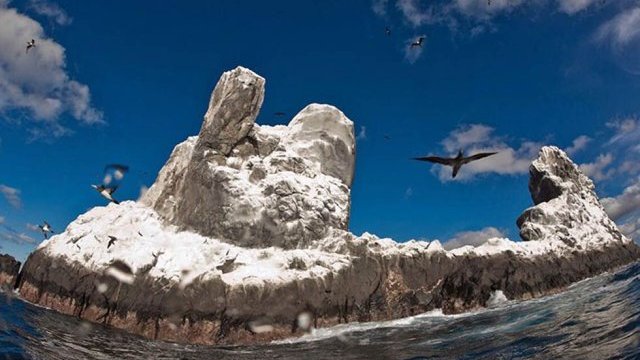 México declara a islas Revillagigedo como Parque Nacional de No Pesca