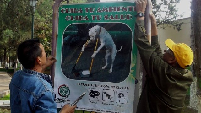 Colocan carteles sobre el paseo de mascotas en la Deportiva