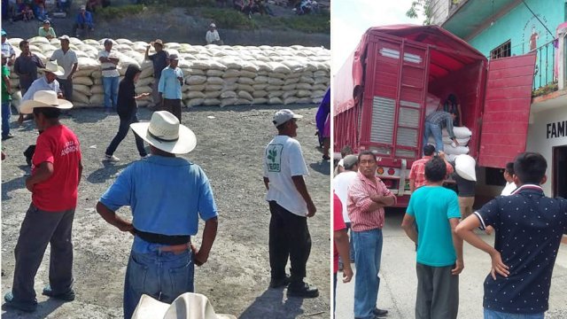 Cientos de familias campesinas de Huehuetla reciben maíz para alimento