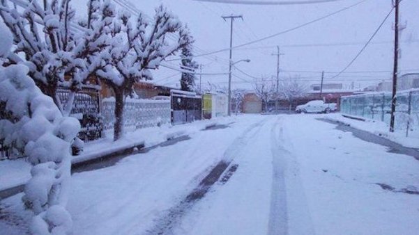 Llegó hoy la nieve a 31 municipios de Chihuahua