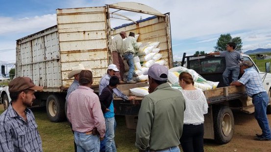 En Cusi y Carichí, productores reciben fertilizante tramitado por Antorcha Campesina