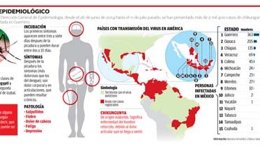 Virus de Chikungunya se extiende a 15 estados