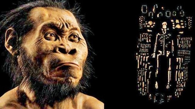 Homo naledi, un nuevo primo lejano del hombre