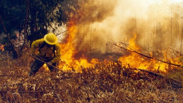 Incendios en Chihuahua consumen más de dos mil hectáreas
