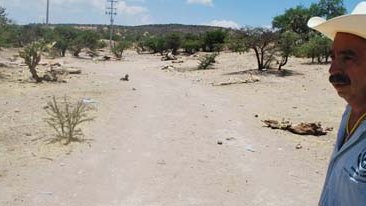 Se agravó la sequía: se muere el Valle de Juárez