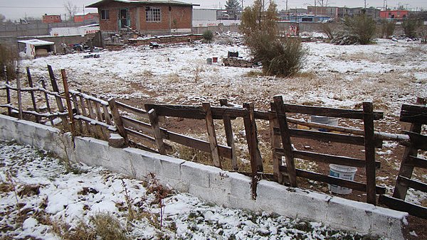 Con nieve y lluvias llega a Chihuahua la sexta tormenta invernal