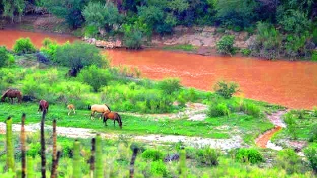 Posponen 89 escuelas inicio de clases por contaminación en el río Sonora