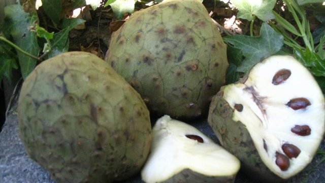 La chirimoya se sitúa en el ranking de los frutos más extraños