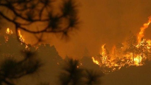Perdió Chihuahua más de 50 mil hectáreas de bosque en mil 479 incendios